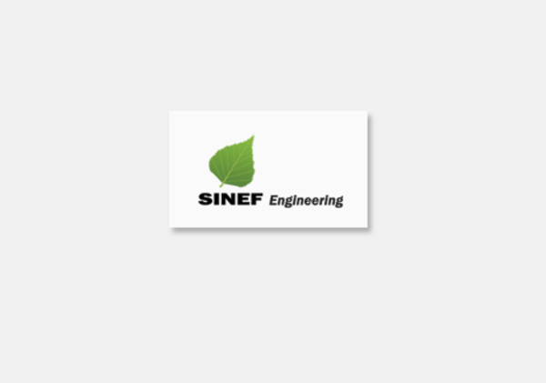 Разработка логотипа компани Sinef