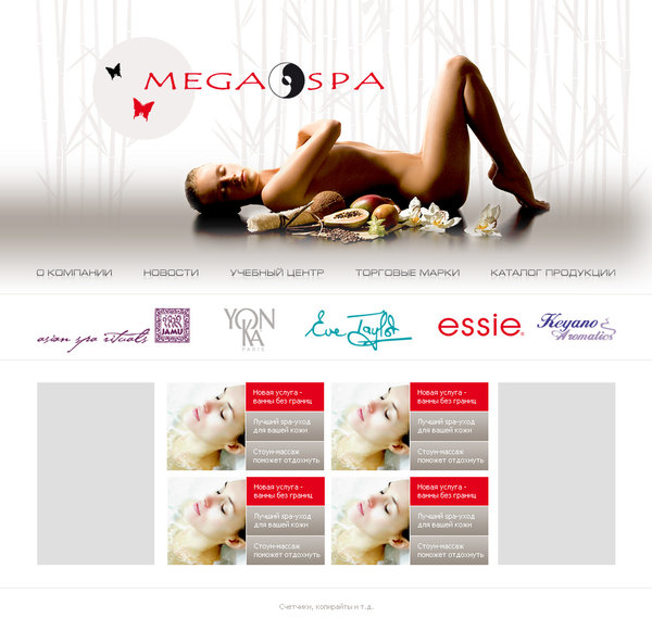 Дизайн главной страницы международной школы МегаСПА.