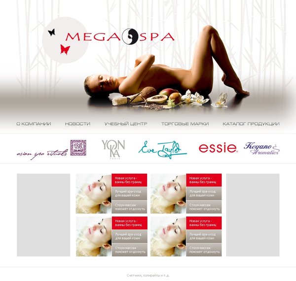 Разработка сайта для компании MegaSPA