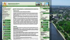 Разработка дизайна официального портала Воронежской области.